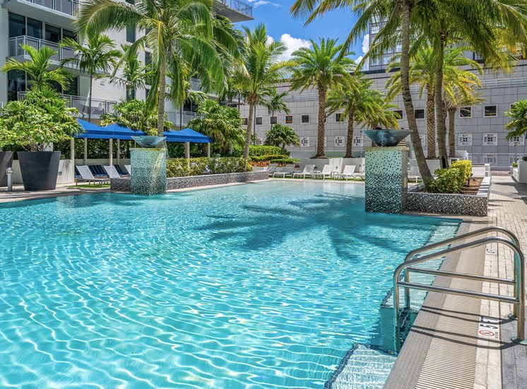 A pool surrounded by palm trees and plants.
